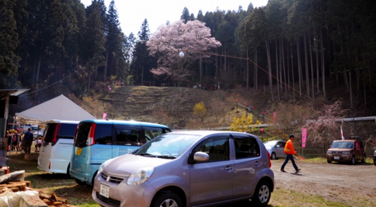 sakura_take06.jpg
