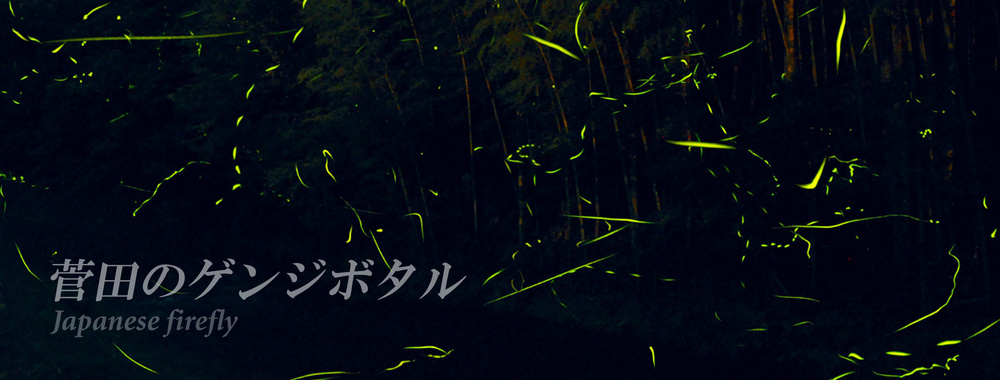 genji-hotaru.jpg