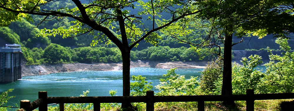dam_04.jpg