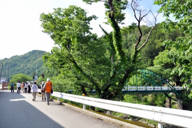 sakai_01.jpg