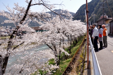 sakai_09.jpg