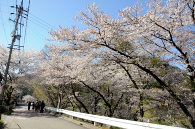 sakai_10.jpg